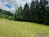 Ma-Cabane - Vente Terrain Ban-de-Laveline, 1792 m²