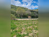 Ma-Cabane - Vente Terrain Banyuls-sur-Mer, 3982 m²