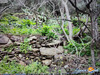 Ma-Cabane - Vente Terrain Banyuls-sur-Mer, 4000 m²