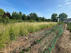 Ma-Cabane - Vente Terrain BAPAUME, 671 m²