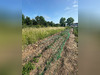 Ma-Cabane - Vente Terrain BAPAUME, 671 m²