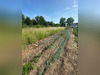 Ma-Cabane - Vente Terrain BAPAUME, 671 m²