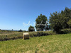 Ma-Cabane - Vente Terrain Baraqueville, 4197 m²