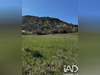 Ma-Cabane - Vente Terrain Barcillonnette, 1226 m²
