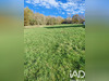 Ma-Cabane - Vente Terrain Barlest, 919 m²