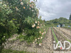 Ma-Cabane - Vente Terrain Baule, 891 m²