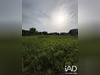 Ma-Cabane - Vente Terrain Bavinchove, 1386 m²