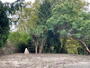 Ma-Cabane - Vente Terrain Bayonne, 7559 m²