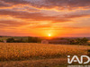 Ma-Cabane - Vente Terrain Bazus, 2400 m²