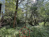 Ma-Cabane - Vente Terrain BEAUCHAMPS, 27000 m²