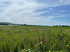 Ma-Cabane - Vente Terrain BEAURAINS LES NOYON, 3744 m²