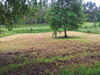 Ma-Cabane - Vente Terrain BEAURONNE, 1219 m²
