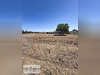 Ma-Cabane - Vente Terrain BEAUVOIR-SUR-MER, 297 m²