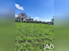 Ma-Cabane - Vente Terrain Beauzac, 1523 m²