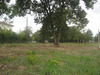 Ma-Cabane - Vente Terrain BEGUEY, 0 m²