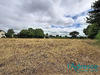 Ma-Cabane - Vente Terrain BELGEARD, 1000 m²