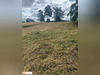 Ma-Cabane - Vente Terrain Belley, 1387 m²