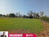 Ma-Cabane - Vente Terrain BELVEZE DU RAZES, 1760 m²