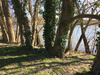 Ma-Cabane - Vente Terrain BENNECOURT, 750 m²