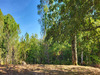 Ma-Cabane - Vente Terrain BERGERAC, 4957 m²