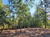 Ma-Cabane - Vente Terrain BERGERAC, 4957 m²