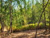 Ma-Cabane - Vente Terrain BERGERAC, 4957 m²