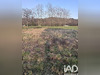 Ma-Cabane - Vente Terrain Bernac-Dessus, 1331 m²