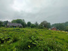 Ma-Cabane - Vente Terrain Berneuil-en-Bray, 817 m²