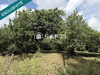 Ma-Cabane - Vente Terrain Bersaillin, 1239 m²