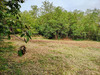 Ma-Cabane - Vente Terrain BEYNOST, 2752 m²