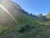 Ma-Cabane - Vente Terrain BEYREDE JUMET, 7511 m²