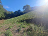 Ma-Cabane - Vente Terrain BEYREDE JUMET, 7511 m²