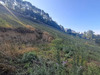 Ma-Cabane - Vente Terrain BEYREDE JUMET, 7511 m²