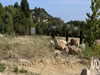 Ma-Cabane - Vente Terrain Beziers, 679 m²