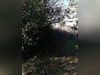 Ma-Cabane - Vente Terrain BEZIERS, 1970 m²
