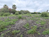 Ma-Cabane - Vente Terrain Bidart, 575 m²