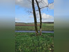 Ma-Cabane - Vente Terrain Bignay, 3430 m²
