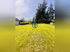 Ma-Cabane - Vente Terrain BIOL, 1114 m²