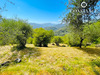 Ma-Cabane - Vente Terrain Blausasc, 2357 m²