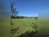 Ma-Cabane - Vente Terrain Blussangeaux, 6357 m²