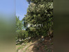 Ma-Cabane - Vente Terrain Bollene, 1246 m²