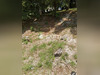 Ma-Cabane - Vente Terrain Bollene, 1246 m²