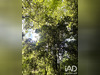Ma-Cabane - Vente Terrain Bossay-sur-Claise, 1650 m²