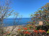 Ma-Cabane - Vente Terrain BOUILLANTE, 2080 m²