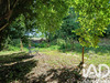 Ma-Cabane - Vente Terrain Bouillé Ménard, 4457 m²