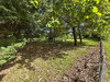 Ma-Cabane - Vente Terrain BOULAZAC, 9249 m²