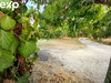 Ma-Cabane - Vente Terrain Bouliac, 737 m²