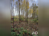 Ma-Cabane - Vente Terrain Boult sur Suippe, 4900 m²