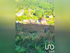 Ma-Cabane - Vente Terrain Bourbach-le-Haut, 1147 m²