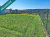 Ma-Cabane - Vente Terrain Boutiers-Saint-Trojan, 1011 m²